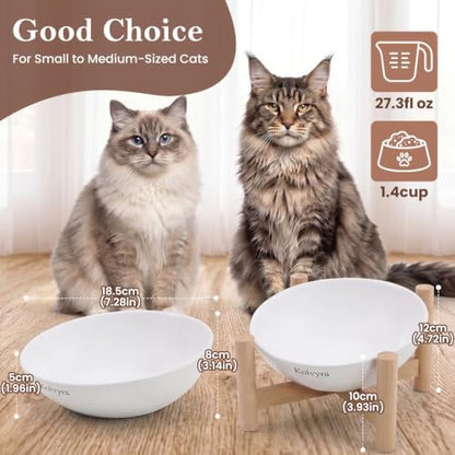 15° Slanted Rim Ceramic Cat Bowl, Anti-Spill for Small Cats,White - Image 2