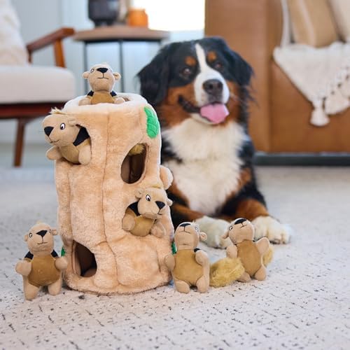 Outward Hound Hide-A-Squirrel Plush Squeaky Dog Toy, XL, 7" x 11.8" - Image 6