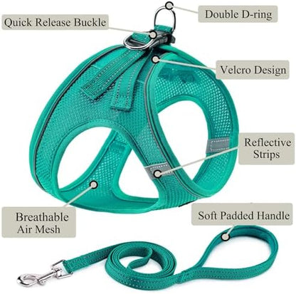 Dog Harness with Leash Set, Step-in Adjustable Puppy Vest, Forest Green XXS - Image 2
