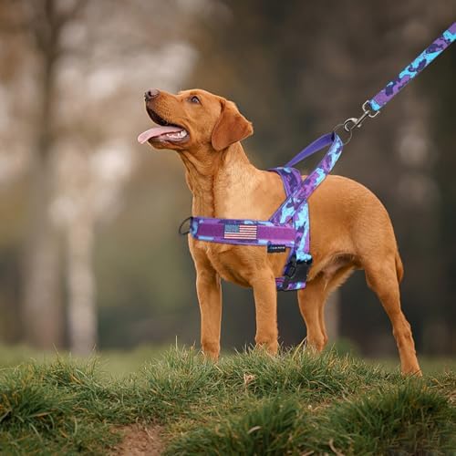 Annchwool No Pull Dog Harness with Soft Padded Handle,Escape Proof and Quick Fit to Adjust Dog Harness,Easy for Training Walking for Small & Medium and Large Dogs(Camo Purple,XL) - Image 6