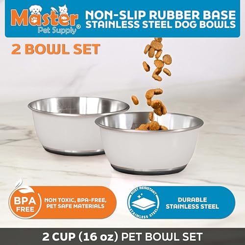 Master Pet Supply Stainless Steel Dog Bowls Set of 2 - Bone White - 16 Oz - Image 2