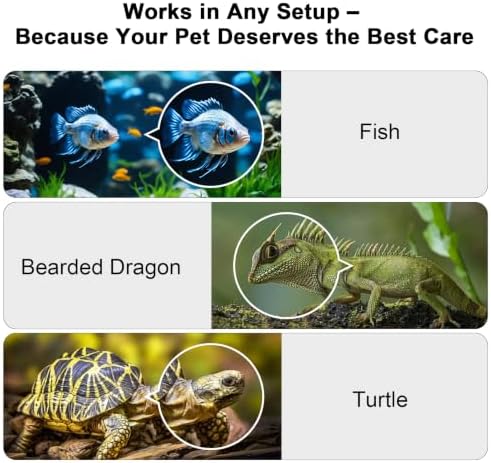 2K AI Reptile & Aquarium Camera with Wide-Angle Lens - Image 5