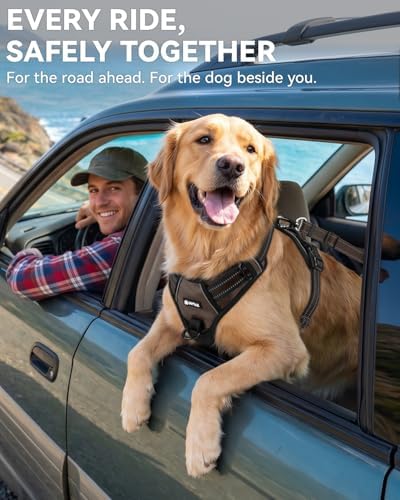 Joytale 3-in-1 Bungee Dog Seat Belt for Car, Medium and Large Dogs, Brown - Image 4