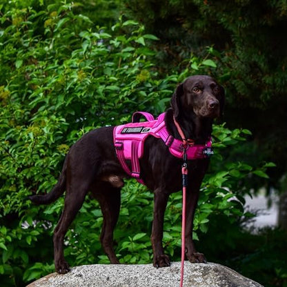 Dog Harness Medium Sized Dog, No Pull Dog Vest with Molle System - Image 4