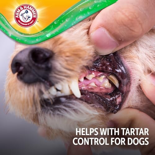 Arm & Hammer Complete Care Brushless Oral Dog Gel, Peanut Butter, 4 Oz - Image 7
