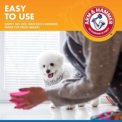 Arm & Hammer Clinical Care Dental Rinse for Dogs, 16 Fl Oz - Image 2