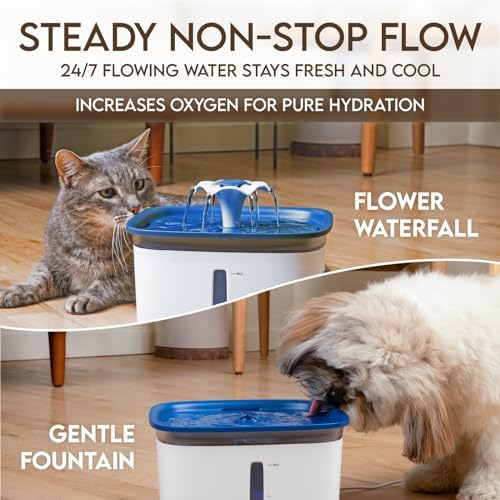 Veken Innovation Award Winner 95oz/2.8L Cat Water Fountain - Image 2
