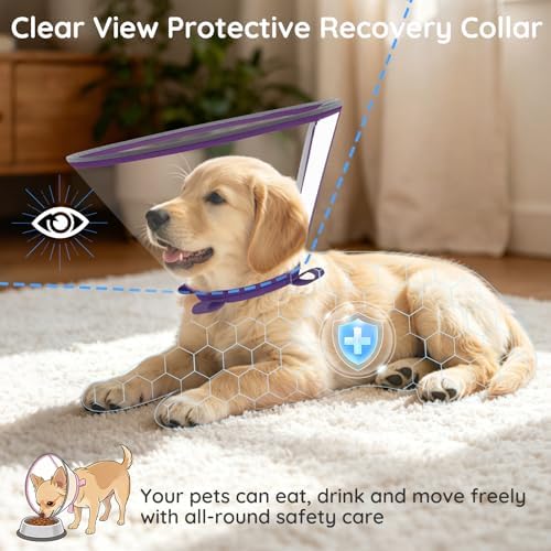 Clear Dog Cone for Medium Dogs Corgi, E-Collar After Surgery - Image 2