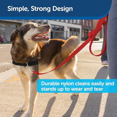 PetSafe Nylon Dog Leash - Strong, Durable, Traditional Style Leash with Easy to Use Bolt Snap - 3/8 in. x 6 ft., Red - Image 4