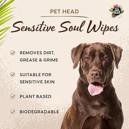 Pet Head Sensitive Soul Dog & Cat Wipes for Paws, Body & Face | 100 Pack - Image 4
