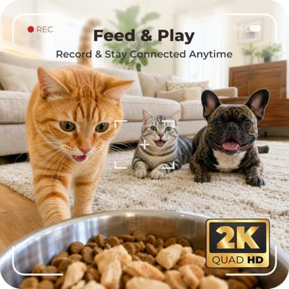 Automatic Cat Feeder with 2K Camera: 5G WiFi Auto Dog Feeder - 6L - Image 2