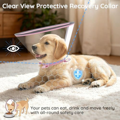 Clear Dog Cone for Medium Dogs Corgi, E-Collar After Surgery - Image 2