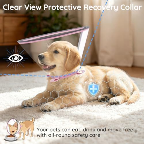 Clear Dog Cone for Medium Dogs Corgi, E-Collar After Surgery - Image 2