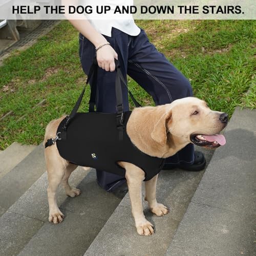 Coodeo Dog Lift Harness, Pet Support & Rehabilitation Sling Lift Adjustable Padded Breathable Straps for Old, Disabled, Joint Injuries, Arthritis, Loss of Stability Dogs Walk (Black, L) - Image 2