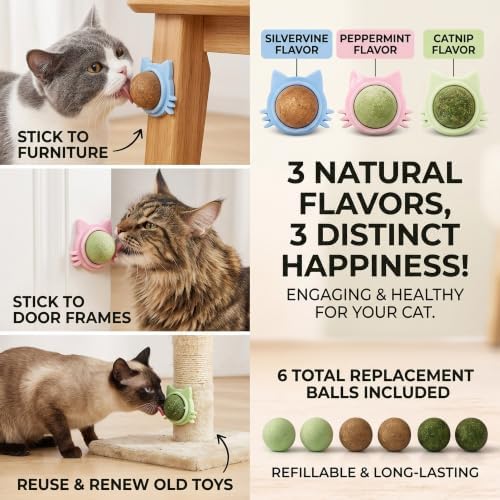 Cat Wall Toy 9pcs Refill Ball Catnip Silvervine Gall Fruit Lickable - Image 3