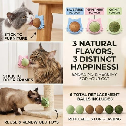 Cat Wall Toy 9pcs Refill Ball Catnip Silvervine Gall Fruit Lickable - Image 3