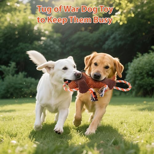 Drmstow Dog Toys for Aggressive Chewers, Squeaky Plush Chew Toy with Crinkle, Interactive Rope Tug of War Toy for Large Dogs to Keep Them Busy - Image 4