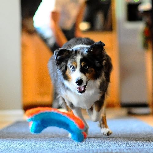 Chuckit! Indoor Fetch Squirrel Toy for Dogs, Orange and Blue - Image 7