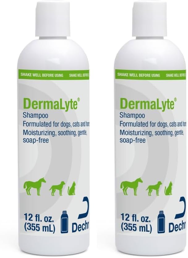 Shampoo, 12 Ounce (Pack of 2) by DermaLyte