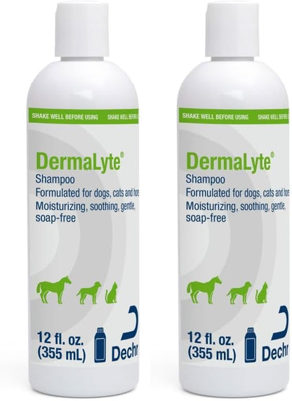 Shampoo, 12 Ounce (Pack of 2) by DermaLyte