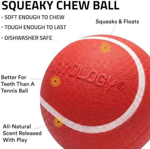 Playology Squeaky Chew Ball Dog Toy - Jumbo, Beef Scent - Image 2
