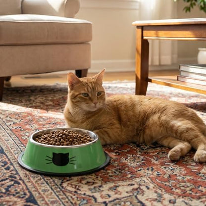 8 Pack Cat Bowls, Stainless Steel Cat Water Food Bowl Set with Anti-Slip Base, 7oz Shallow Pet Dish for Kittens & Small Dogs, Multi-Color (Blue, Black, Purple, Orange, Green, Gray, Red, Pink) - Image 4