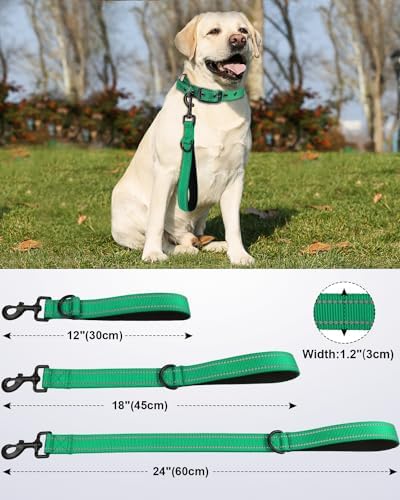 Joytale Short Dog Leash for Close Control & Training, 24", Teal - Image 2