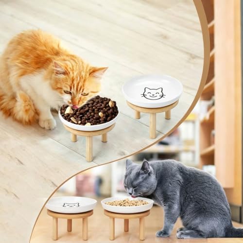 Elevated Cat Bowls with Bamboo Stand, Ceramic Raised Cat Bowl Set of 2, 5.9 Inch Whisker Friendly Anti Vomiting Cat Food Bowls for Dry and Wet Food - Image 6