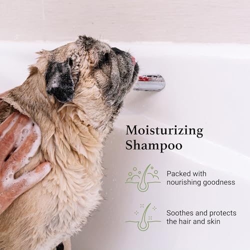 iGroom Argan+Vitamin E Dog Shampoo, Groom Like a Professional, Enhanced Cleaning Power, Reccommended pH Balance, Made in USA, 16 oz - Image 3