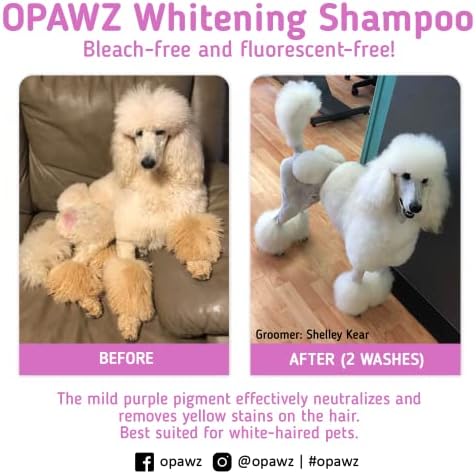 OPAWZ 05 Whitening Purple Shampoo for Dog and Cat, Safely Remove Yellow Stains, with No Bleach, Peroxide and Sulfate, Professional Groomers Recommended Product, 16.9 oz - Image 5
