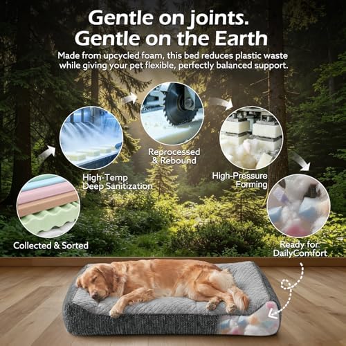 JOEJOY Orthopedic Dog Bed Medium Sized Dogs, Extra Thick Supportive Big Dog Couch Bed with Sides, Ultra Soft Pet Bed Sofa, Light Grey, 35''x25'' - Image 5