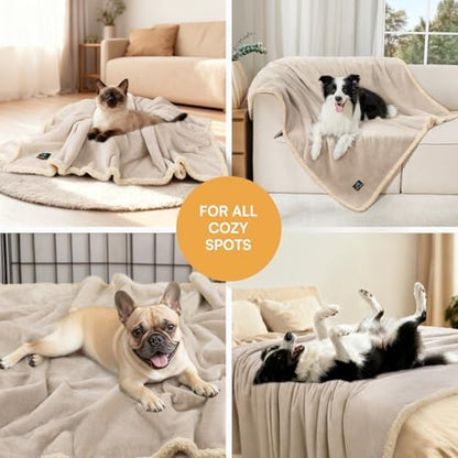 Luciphia Waterproof Pet Blanket, Liquid Pee Proof Dog Blanket for Sofa Bed Couch, Reversible Sherpa Fleece Furniture Protector Cover for Small Medium Large Dogs Cats, Grey Beige Large（65" x 57"） - Image 6