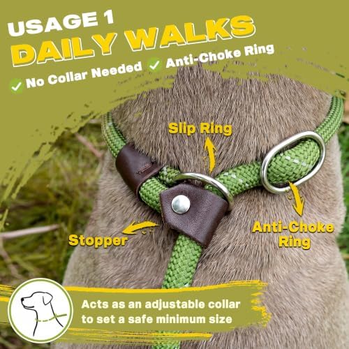 Fida Durable Slip Lead Dog Leash, 6 FT x 1/2" Dog Training Leash, Green - Image 4