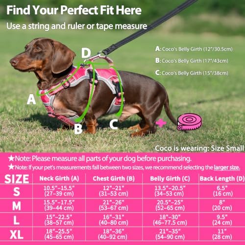 Huntboo Escape Proof Dog Harness, Dachshund Harness, Reflective Dog Harness with Handle, Durable,Adjustable Vest for Small Medium Large Dogs Walking, Training, and Running Gear (Rose red,S) - Image 6