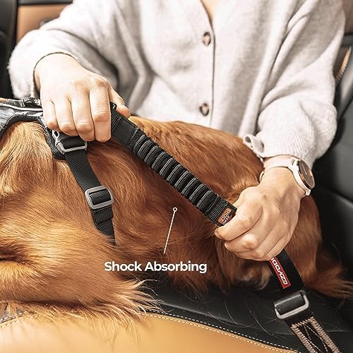 EzyDog Zero Shock Click - Bungee Dog Seat Belt Car Restraint - 20in - 26in - Image 2