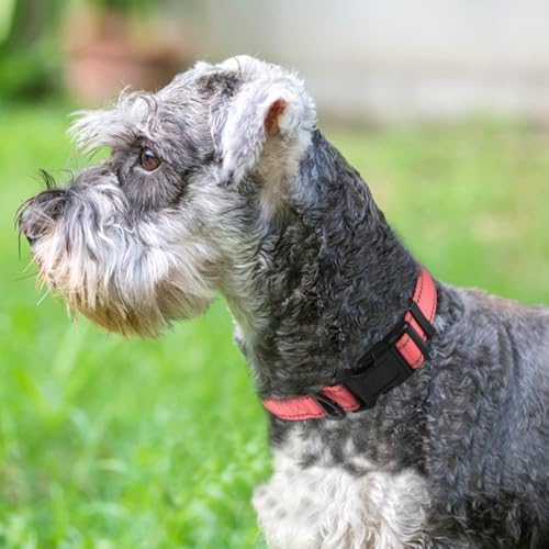 Joytale Reflective Dog Collar, Adjustable Neoprene Padded, Neon Pink M - Image 2
