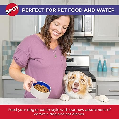 SPOT by Ethical Products – Ceramic Stoneware Pet Bowl for Cats and Small Dogs,Classic Heavy Duty Non Slip Ceramic Cat Dish Dog Bowls for Food and Water - Image 3