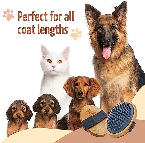 The Buddy System - Pet Close Brush, Oval Palm Brush with Rubber Bristles - Image 6