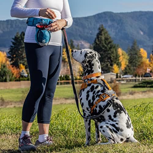 Kurgo Go Stuff It Dog Treat Bag, Training Treat Pouch Bag for Dogs, Treat Pouches for Pets, Hands-Free Pouch Waist, Reflective, Includes Carabiner, MOLLE-Compatible (Navy Blue) - Image 2