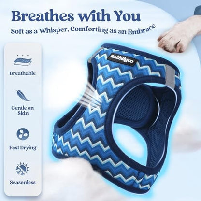 rabbitgoo Dog Harness Small Sized and Leash Set, Step-in Puppy Pet Vest - Image 4