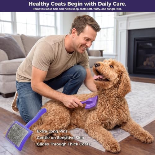 5PCS Dog Grooming Kit with Long Pin Slicker Brush for Dogs, Violet - Image 3