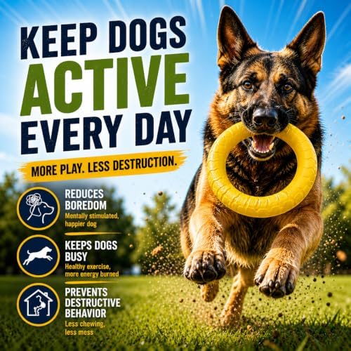 4-Piece Floating Dog Toys, Medium & Large Dogs - Image 2