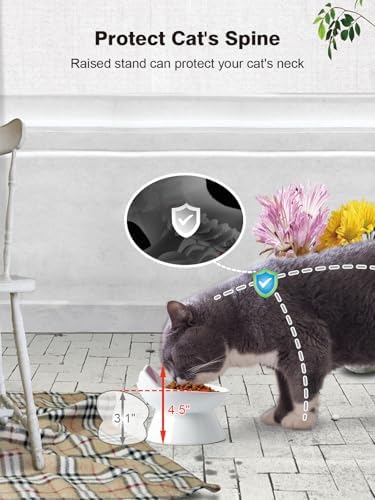 ABRUTY Cat Food Bowl, 5 OZ Ceramic Elevated Kitten Water Bowl, 15° Tilted Raised Pet Feeder, Anti Vomiting and Whisker Friendly Dishes for Fat Faced, Cat, Kitten, Small Dog - Image 6