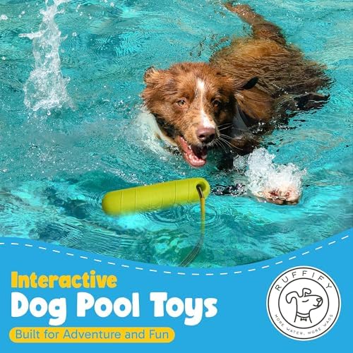 Floating Dog Water Toys - 2 Pack, Bumper Throw Stick for Fetch - Image 7