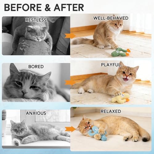 Catnip Cat Toys, 5 Pack Cactus Cat Toys with Organic Catnip, Interactive Chew & Kick Toys for Indoor Cats, Plush Teething Toys for Kittens, Fun Cactus Shape - Image 6