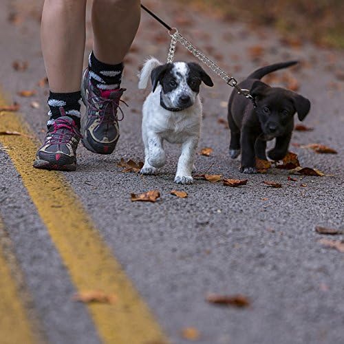 PETTOM Heavy Duty 2 Way Dog Lead Metal Chain Double Pet Clip Leash Coupler 360° Swivel No Tangle Double Dog Walking & Training Leash(XS 2.5mm*40cm, Silver) - Image 6
