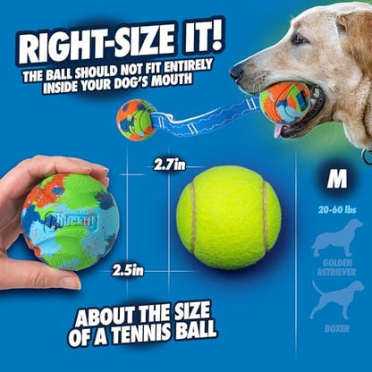 Chuckit! Limited Edition EcoFetch Ball Dog Toy, Medium (2.5 Inch Diameter) Pack of 3, for Breeds 20-60 lbs - Image 2