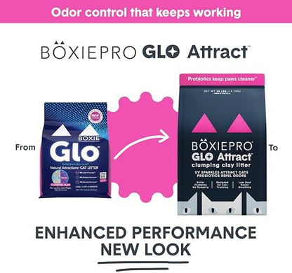 Boxie Glo Attract Clumping Cat Litter 40+ Day Odor Control Dust Free 40 lb - Image 2