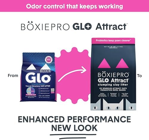 Boxie Glo Attract Clumping Cat Litter 40+ Day Odor Control Dust Free 16 lb - Image 2