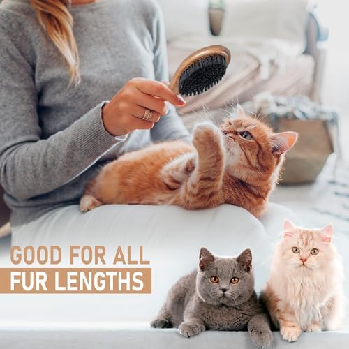 TAKAVU Boar Bristle Cat Brush, Gentle Grooming for Sensitive Skin - Image 5